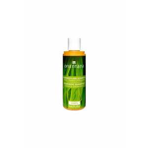 Sampon ayurvedic cu ghimbir si lemongrass - 210ml imagine