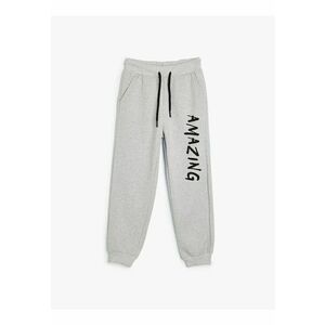 Pantaloni de trening din amestec de bumbac cu model text imagine