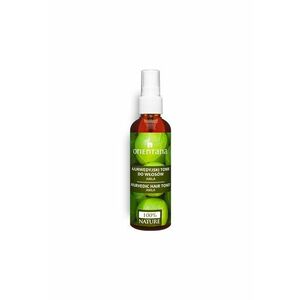 Toner natural pentru par - Amla & Neem - 105 ml imagine