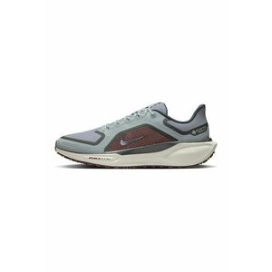 Pantofi pentru alergat Air Zoom Pegasus 41 GTX imagine