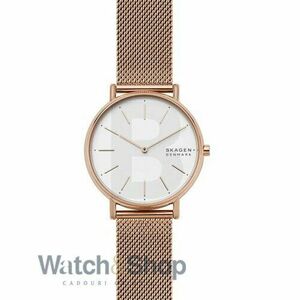 Ceas Skagen Skagen Signatur Slim SKW2784 imagine