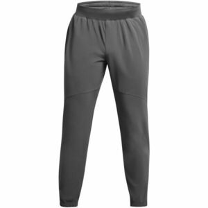 UNDER ARMOUR Pantaloni sport gri închis imagine