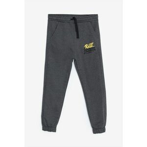 Pantaloni de trening regular fit imagine