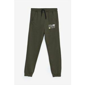 Pantaloni de trening regular fit cu text imagine