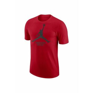 Tricou NBA CHICAGO BULLS Jordan imagine