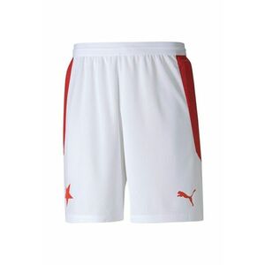 Pantaloni scurti barbati Sks Home Shorts imagine