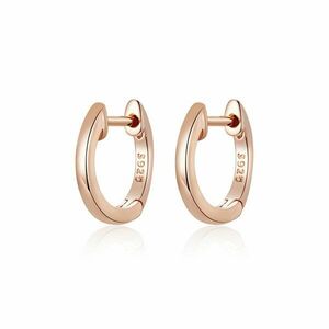 Cercei din argint Classic Small Hoops rose gold imagine