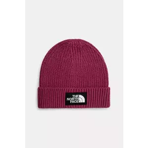 Box Logo Beanie imagine