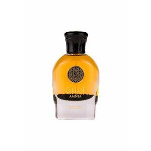 Apa de Parfum Amnia - Unisex - 100 ml imagine