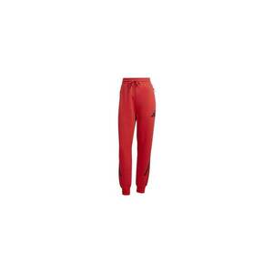 Pantaloni trening W Z.N.E. PT JC5406 imagine