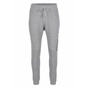 Pantaloni Logo Sweatpants - Gris1`a` imagine