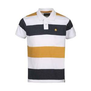 Tricou pentru barbati - Polo Incognito stripe - Multicolor imagine