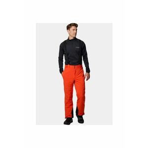 Pantaloni ski sau snowboard Cirque Bowl Pant - Barbati imagine