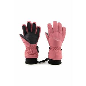 Manusi Ski si Snowboard Phoenix Glove imagine