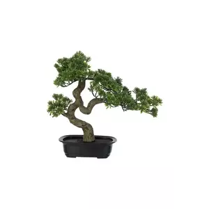 J-Line copac artificial într-un ghiveci Podocarpus Bonsai imagine