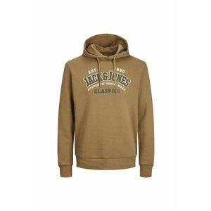 Hanorac JACK &JONES Logo 2 Colors 30383 imagine