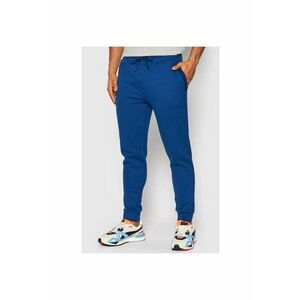 Pantaloni sport Z2RB15 imagine