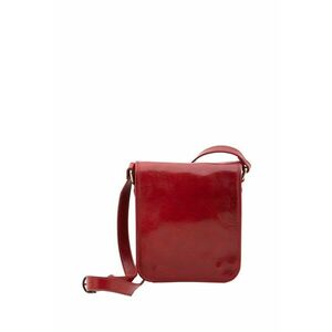 Geanta crossbody din piele imagine