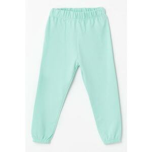 Pantaloni de trening regular fit din bumbac imagine