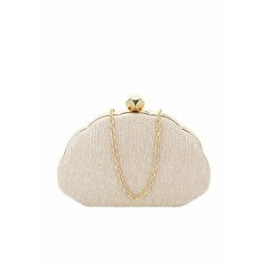 Geanta clutch sampanie cu sclipici BHY-5041 05 12939 imagine