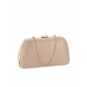 Geanta clutch sampanie BYH808 Auriu rose imagine