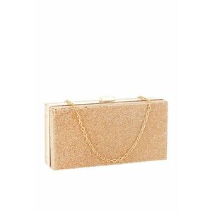 Geanta clutch sampanie cu pietricele BRS-5052 05 12607 imagine