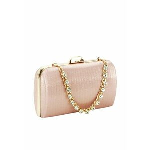 Geanta clutch sampanie BJH-22703 05 13319 imagine