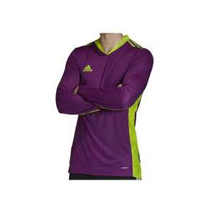 Bluza Adipro 20 Goalkeeper pentru barbati imagine