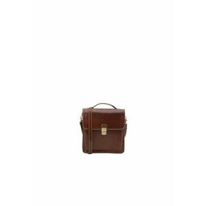 Geanta crossbody de piele cu clapa imagine