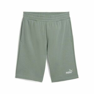 Sort Puma ESS 2 COLOR No. 1 Logo Shorts 10" TR imagine