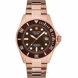 Ceas Swiss Alpine Military BY GROVANA 7053.1166 imagine