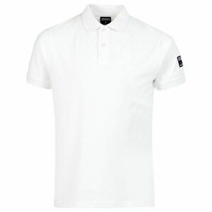 Polo Insignia imagine