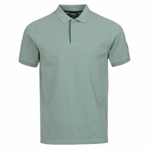 Polo Insignia imagine