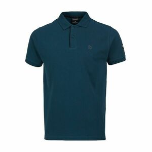 Polo Insignia imagine