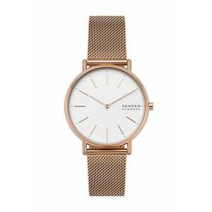 Skagen - Ceas SKW2784 imagine