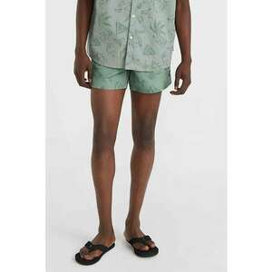 Pantaloni scurti de baie cu model Cali Block 15'' imagine