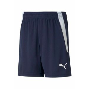 Pantaloni scurti cu talie ajustabila - pentru fotbal teamLIGA imagine