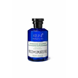 Sampon barbati revigorant 1922 Refreshing Shampoo - 250 ml imagine
