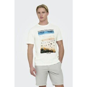 Tricou de bumbac organic cu imprimeu grafic imagine