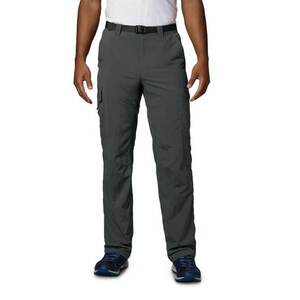 Pantaloni cargo drepti pentru trekking si drumetii Silver Ridge™ - UPF 50 imagine