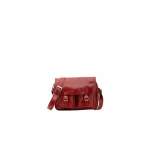 Geanta crossbody de piele imagine
