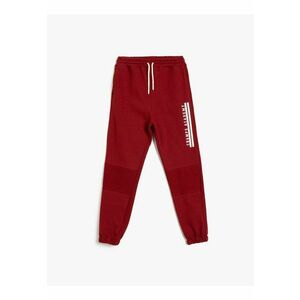Pantaloni de trening cu snur de ajustare si imprimeu text lateral imagine