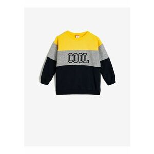 Bluza de trening cu model colorblock imagine
