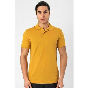 Tricou polo regular fit cu detaliu cu logo discret imagine