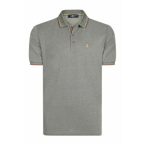 Tricou polo regular fit imagine