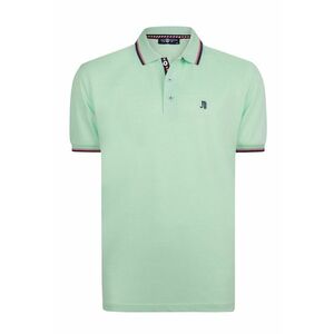 Tricou polo regular fit imagine