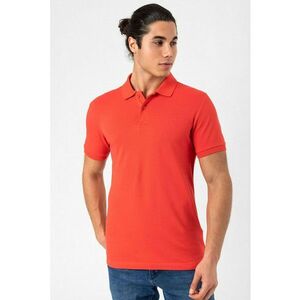 Tricou polo regular fit cu detaliu cu logo discret imagine