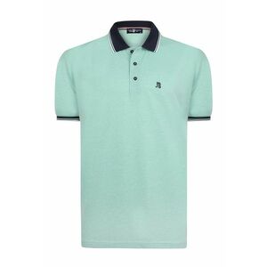Tricou cu model uni si guler polo imagine