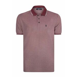 Tricou cu model uni si guler polo imagine