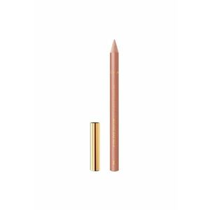 Creion de buze Color Riche - 1.2 g imagine